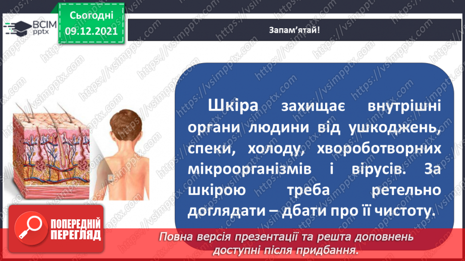 №047-48 - Для чого людині шкіра? Чи робить нас різними колір шкіри?17 №047-48 - Для чого людині шкіра? Чи робить нас різними колір шкіри?17