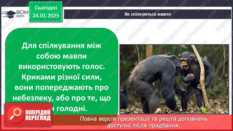 №0059 - Яка користь від знань6 №0059 - Яка користь від знань6