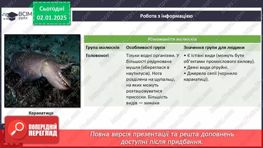 №52 - Молюски.20 №52 - Молюски.20