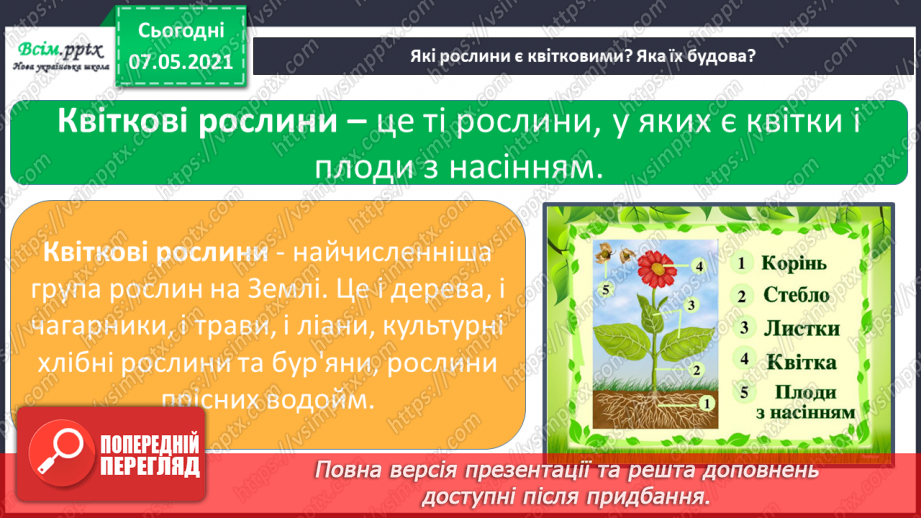 №048 - Узагальнення і систематизація знань учнів. Діагностична робота з тем «Різноманітність рослин і тварин». Підсумок за семестр.5