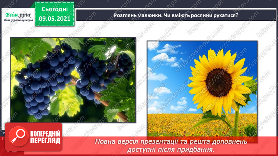 №049 - Чим особливий різноманітний світ рослин?8 №049 - Чим особливий різноманітний світ рослин?8