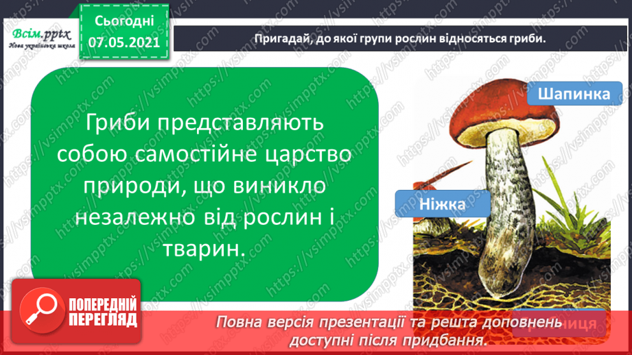 №048 - Узагальнення і систематизація знань учнів. Діагностична робота з тем «Різноманітність рослин і тварин». Підсумок за семестр.14