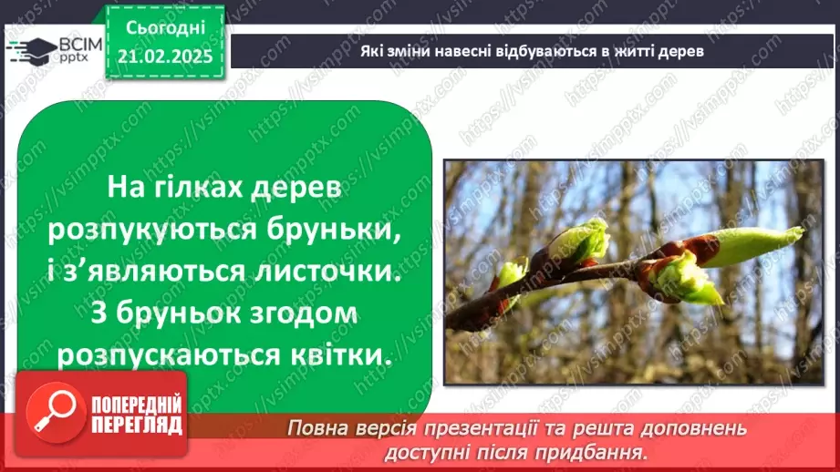 №0071 - Як почуваються рослини навесні4