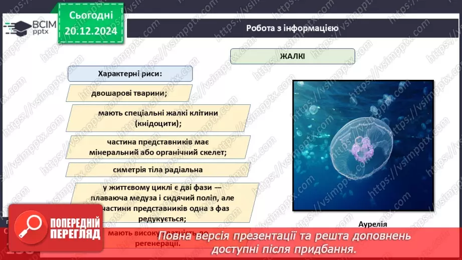 №49 - Губки і Жалкі.17 №49 - Губки і Жалкі.17