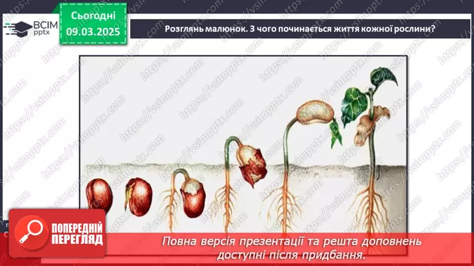 №076 - Як росте і розвивається рослина з насінини. ст.67-695