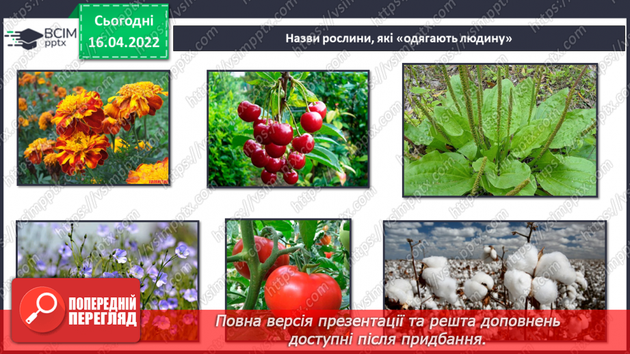 №089 - Рослинництво в рідному краї.21