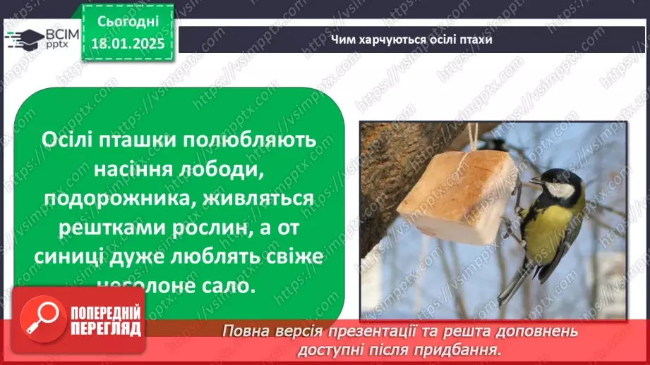 №0055 - Як зимують птахи та звірі6 №0055 - Як зимують птахи та звірі6