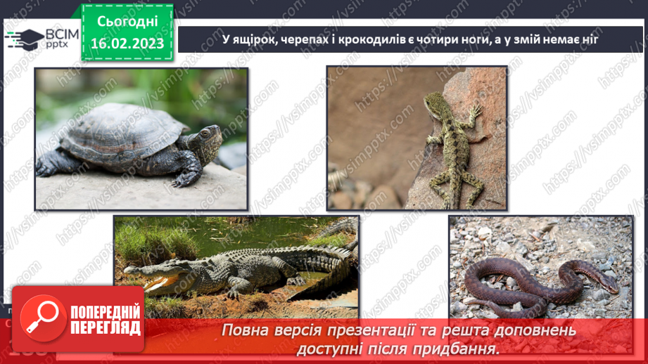 №48 - Хребетні тварини. Будова та спосіб життя хребетних тварин. Практична робота.16