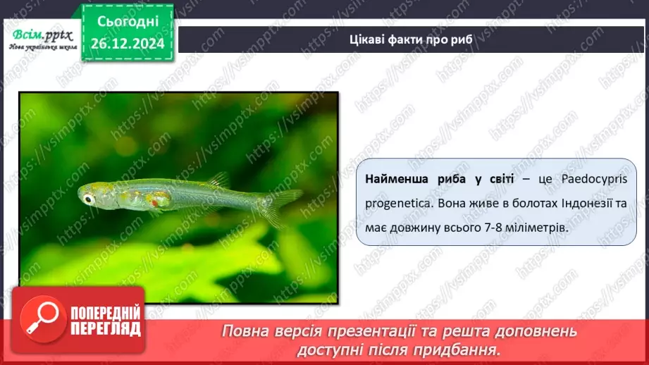 №18 - Робота з пластиліном. Послідовність дій під час виготовлення виробів із пластиліну на площині. Проєктна робота «Чарівна рибка».12 №18 - Робота з пластиліном. Послідовність дій під час виготовлення виробів із пластиліну на площині. Проєктна робота «Чарівна рибка».12