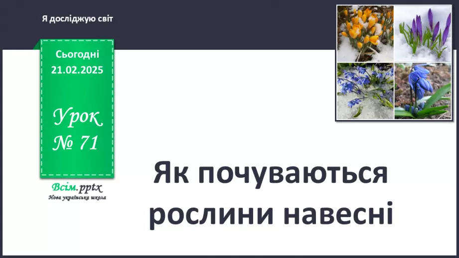 №0071 - Як почуваються рослини навесні0