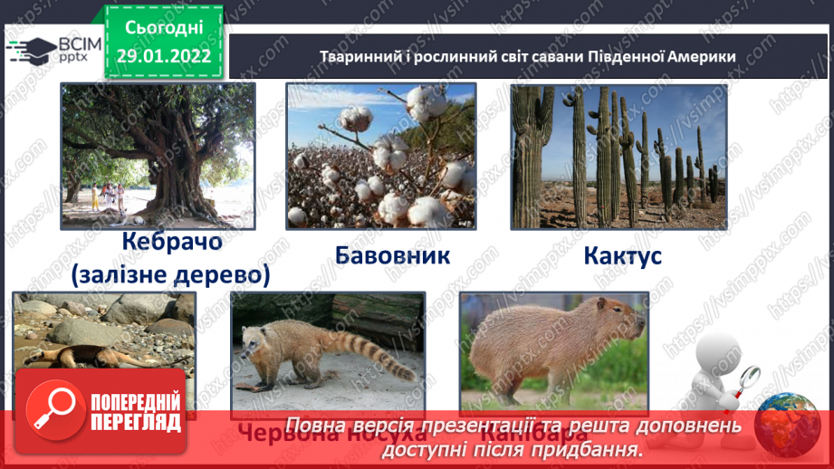 №061 - Рослинний і тваринний світ Південної Америки13 №061 - Рослинний і тваринний світ Південної Америки13