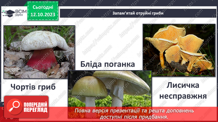 №024 - Осінь - грибна пора19 №024 - Осінь - грибна пора19