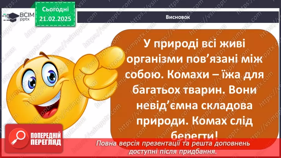 №0072 - Які комахи з’являються першими навесні23