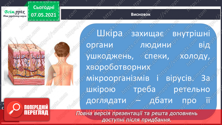 №050 - Яка роль шкіри в організмі людини20 №050 - Яка роль шкіри в організмі людини20