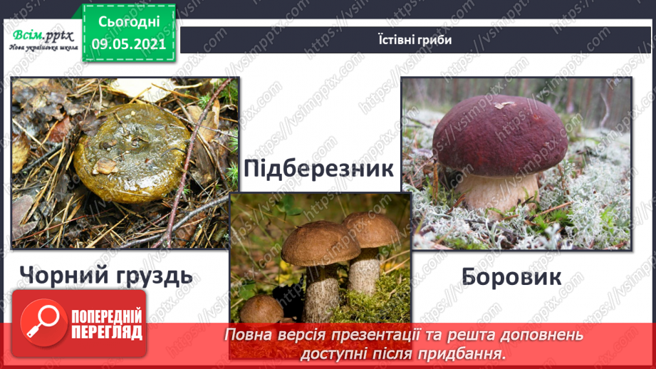 №079 - У чому загадковість світу грибів?13