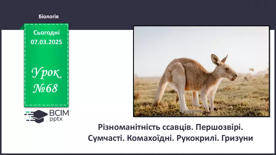№68 - Різноманітність ссавців. Першозвірі. Сумчасті.  Комахоїдні. Рукокрилі. Гризуни.0