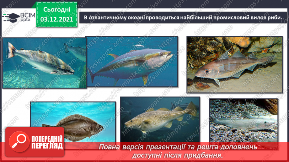 №044 - Океани Землі. Особливості природи океанів33 №044 - Океани Землі. Особливості природи океанів33