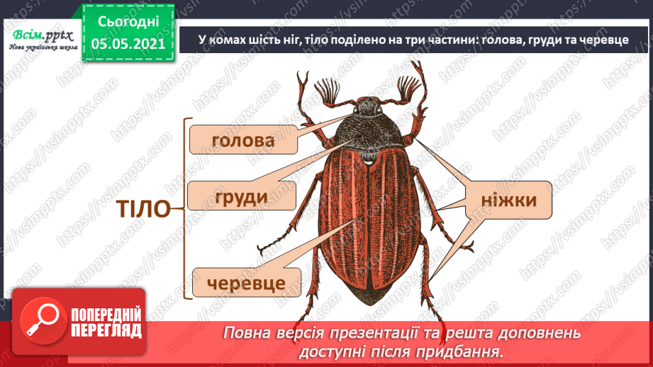 №041 - Різноманітність тварин у природі. Комахи15 №041 - Різноманітність тварин у природі. Комахи15