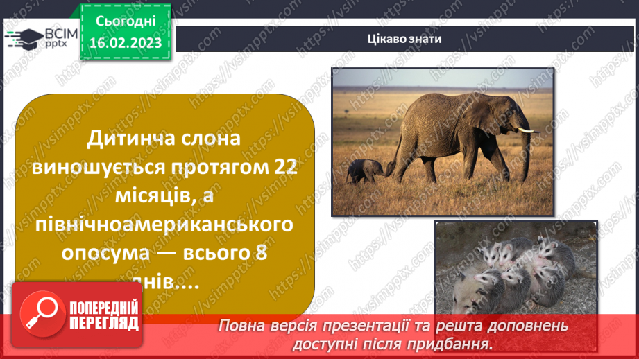 №48 - Хребетні тварини. Будова та спосіб життя хребетних тварин. Практична робота.28