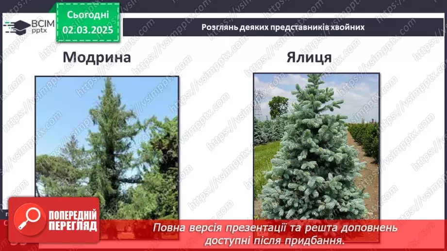 №074 - Різноманітність рослин. ст.59-6110