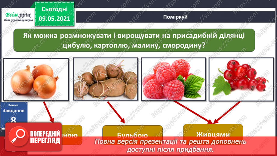 №054 - Як розмножуються рослини?33 №054 - Як розмножуються рослини?33