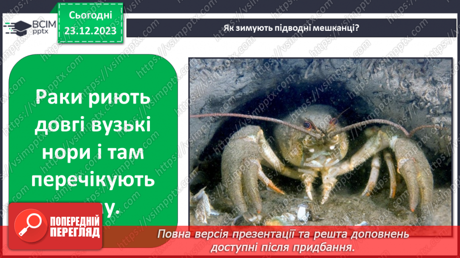 №049 - Зміни в природі взимку. Як зимують тварини?18 №049 - Зміни в природі взимку. Як зимують тварини?18