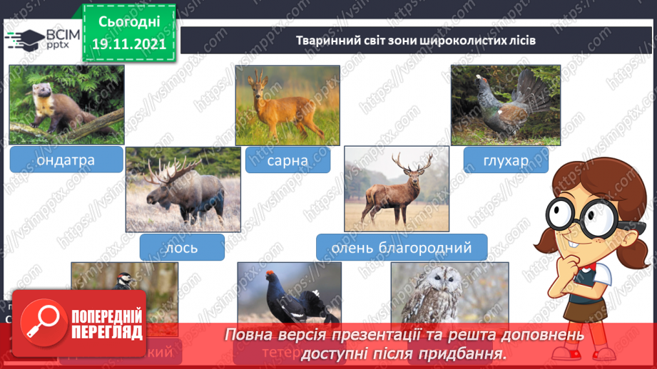 №039 - Подорожуємо  зонами мішаних і  широколистих лісів13