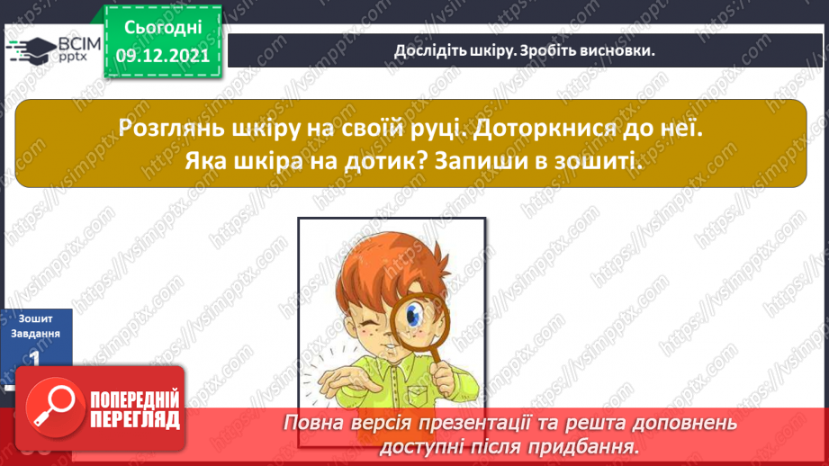 №047-48 - Для чого людині шкіра? Чи робить нас різними колір шкіри?15 №047-48 - Для чого людині шкіра? Чи робить нас різними колір шкіри?15