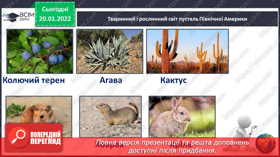 №059 - Рослинний і тваринний світ Північної Америки23 №059 - Рослинний і тваринний світ Північної Америки23