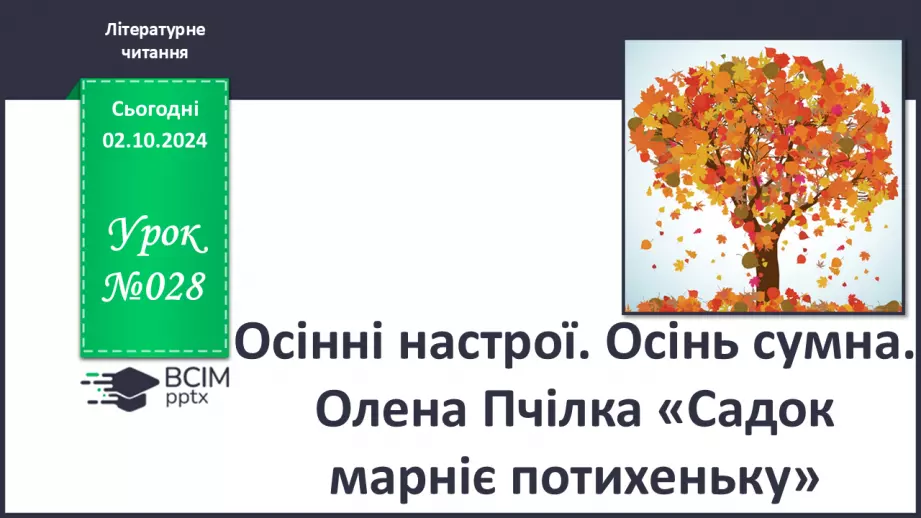 №028 - Осінні настрої. Осінь сумна. Олена Пчілка «Садок марніє потихеньку».0