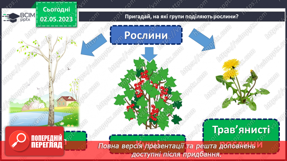 №105 - Урок – вікторина. Чого я навчився/навчилася у 1 класі.10