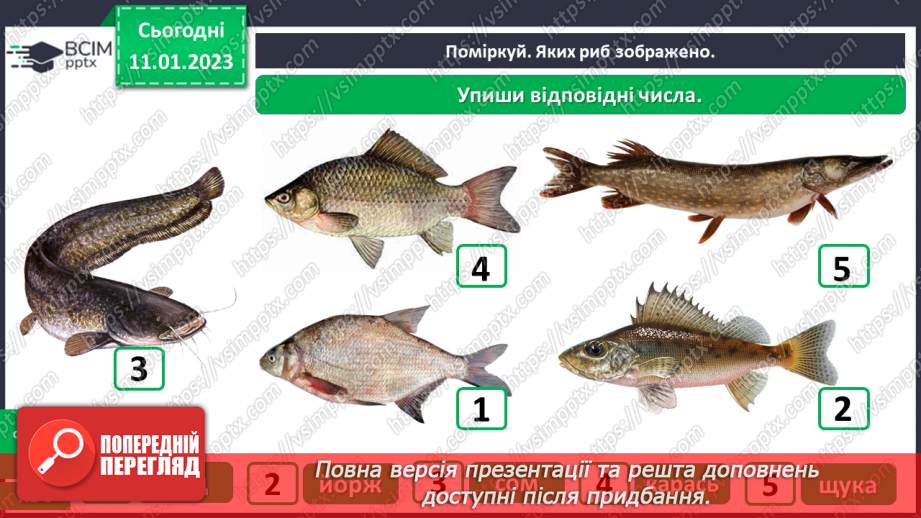 №0056 - Риби11 №0056 - Риби11
