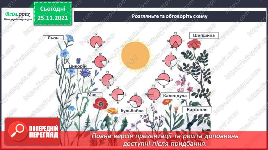 №099 - Які трав’янисті рослини називають «синоптиками», а які — «годинниками»?16