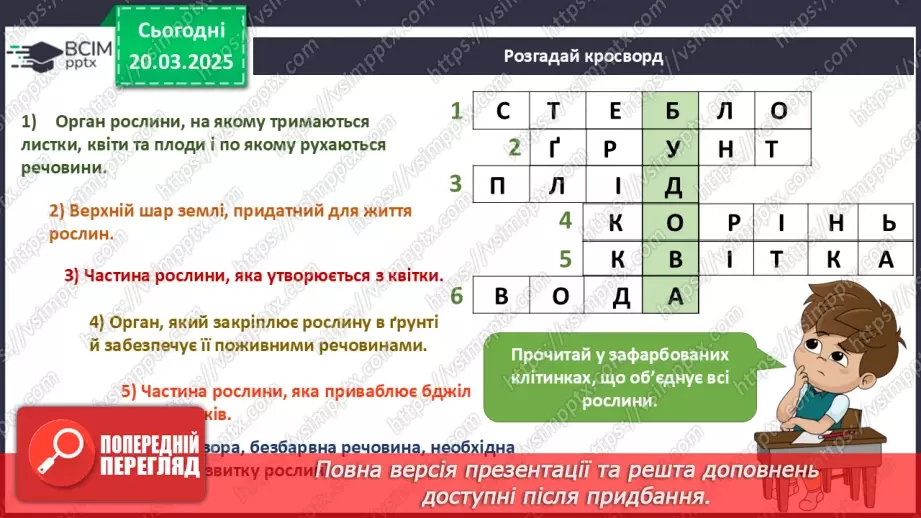 №084 - Що спільного між усіма рослинами? Як берегти рослини"? Усі рослини різні, але є й спільне18