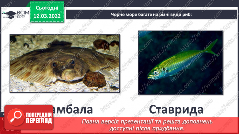 №073 - Чому Чорне й Азовське моря неповторні?14