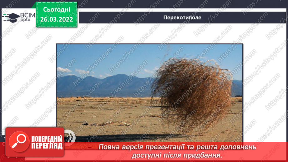 №080 - Лісостеп. Степ9 №080 - Лісостеп. Степ9