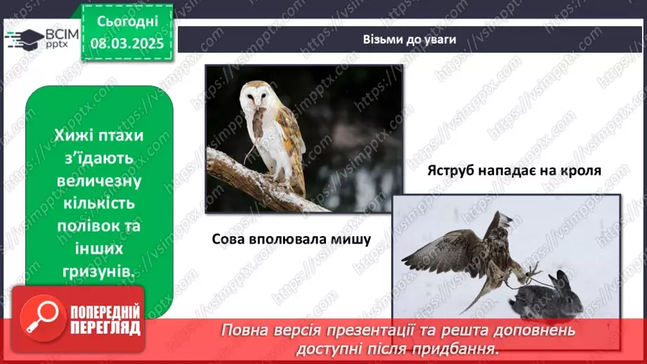 №0076 - Чому птахи в’ють гнізда33 №0076 - Чому птахи в’ють гнізда33