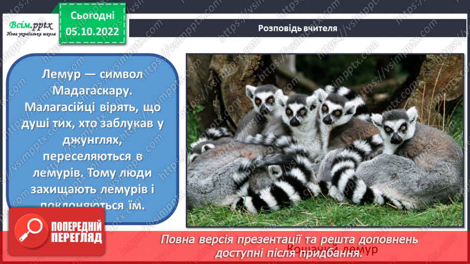 №08 - Мадагаскар – острів лемурів. Виготовляємо макет лемура з ялинових шишок та пластиліну8