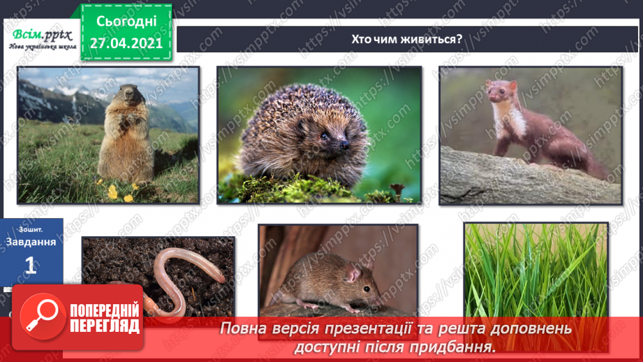 №088-89 - Які турботи приносить весна звірам?25