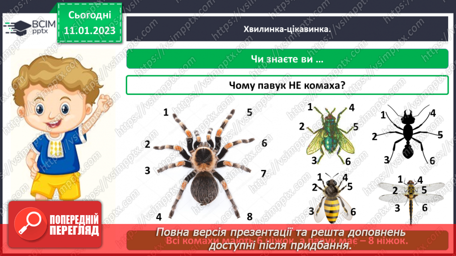 №0055 - Комахи6 №0055 - Комахи6