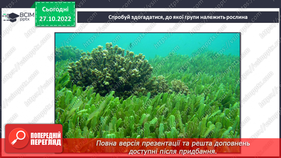 №031 - Класифікація рослин.16 №031 - Класифікація рослин.16