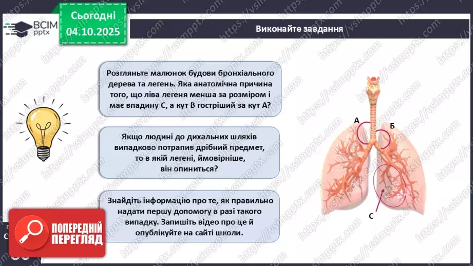 №019 - Будова й функції дихальної системи людини. Дихальні рухи. Газообмін у легенях і тканинах.18 №019 - Будова й функції дихальної системи людини. Дихальні рухи. Газообмін у легенях і тканинах.18