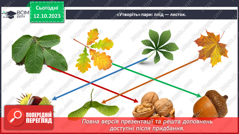 №022 - Плоди і насіння рослин6 №022 - Плоди і насіння рослин6