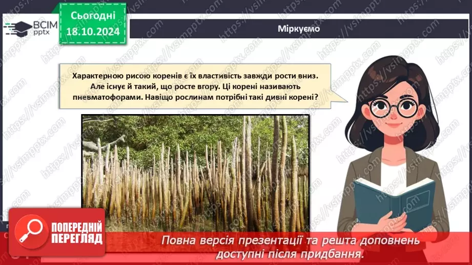 №26 - Видозміни вегетативних органів рослин.20 №26 - Видозміни вегетативних органів рослин.20