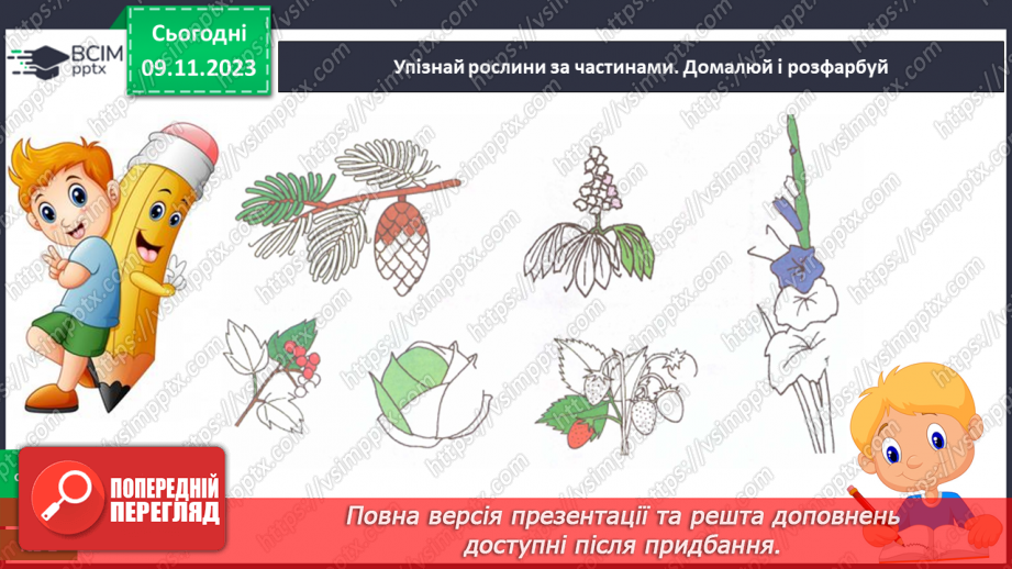 №034 - Рослини. Світ природи розмаїтий…23 №034 - Рослини. Світ природи розмаїтий…23