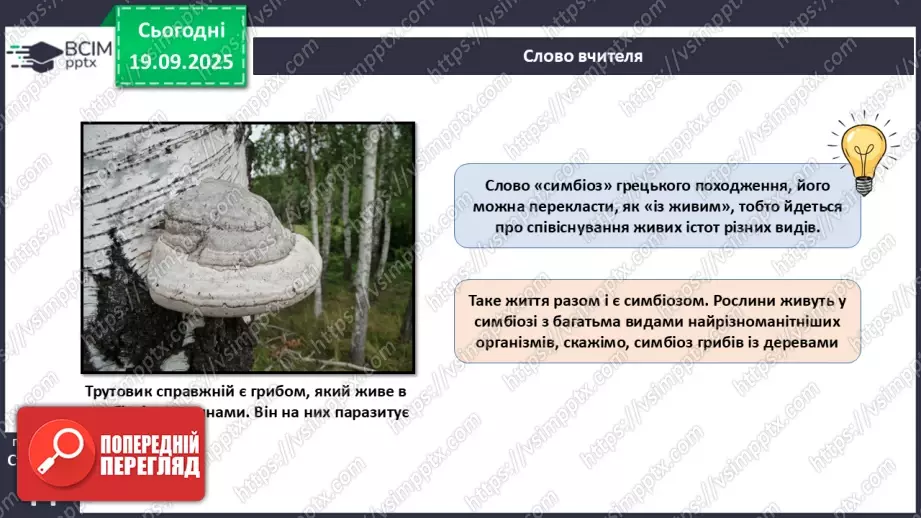 №014 - Водорості та наземні рослини в екосистемах. Космічна та планетарна роль водоростей і рослин.9 №014 - Водорості та наземні рослини в екосистемах. Космічна та планетарна роль водоростей і рослин.9