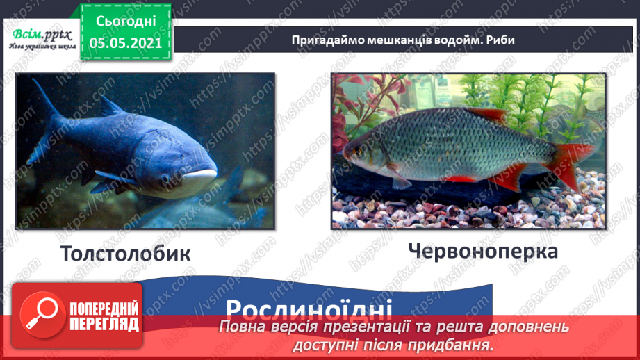 №055-56 - Узагальнення і систематизація знань учнів. Діагностична робота. Аналіз діагностичної роботи.29 №055-56 - Узагальнення і систематизація знань учнів. Діагностична робота. Аналіз діагностичної роботи.29
