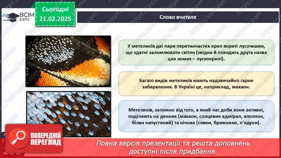 №64 - Птахи: риси пристосованості до польоту.20