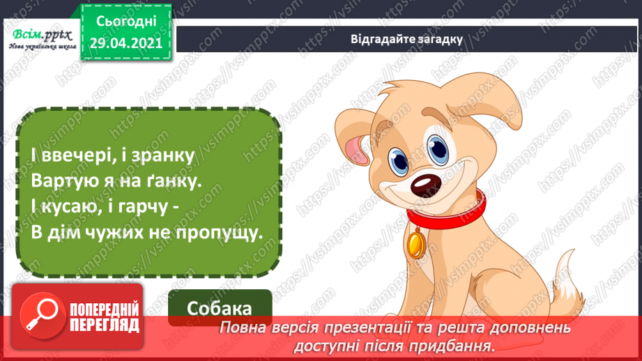 №11 - Образи тварин у мистецтві. Анімалістичний жанр. Зображення улюбленої (акварельні фарби)8