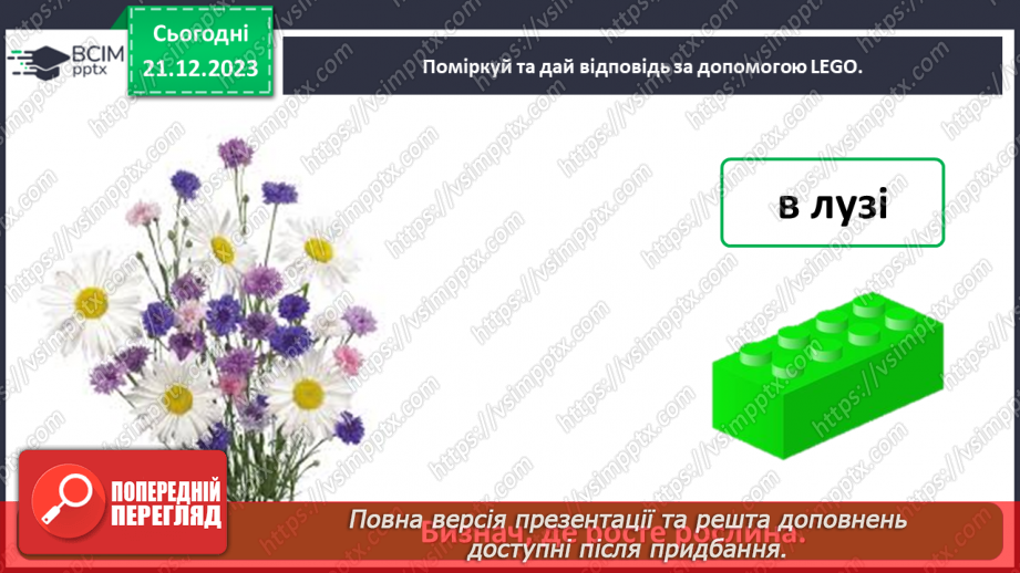 №049 - Чому рослини такі різні21 №049 - Чому рослини такі різні21